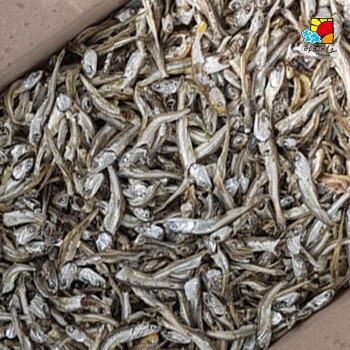 강원마트 더해담,아침미소 고바멸치 중 1.5kg