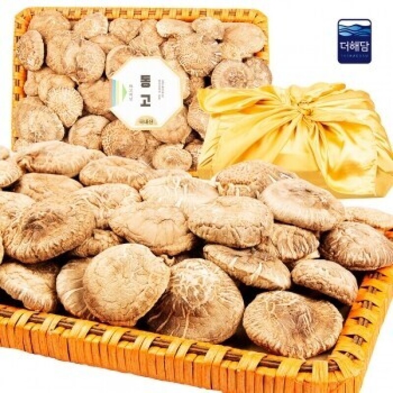 강원마트 더해담,더해담 차가버섯세트 특호 (1kg)